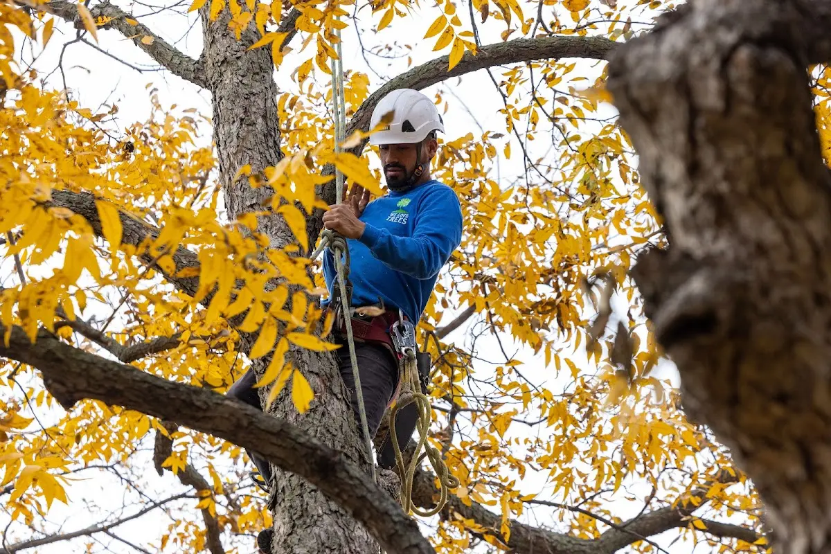 Skilled Storm Damage Cleanup crew working in Urbandale