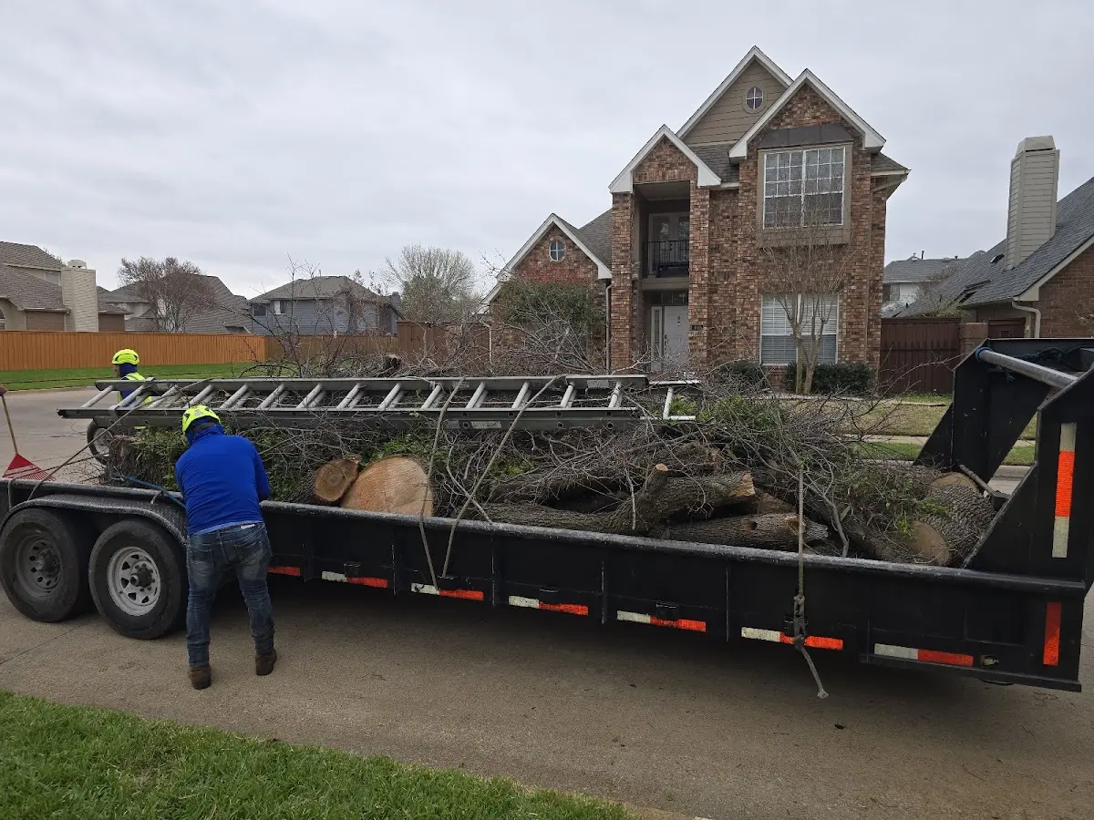 Expert Tree Removal with proper safety equipment in Urbandale